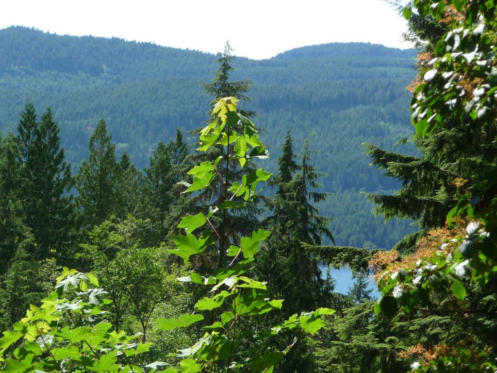 Davis Brook Retreat Bed & Breakfast Sechelt Luaran gambar