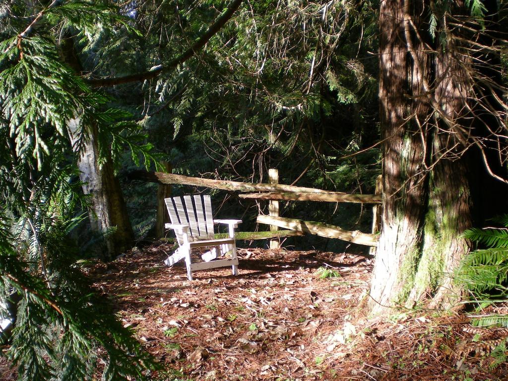 Davis Brook Retreat Bed & Breakfast Sechelt Luaran gambar