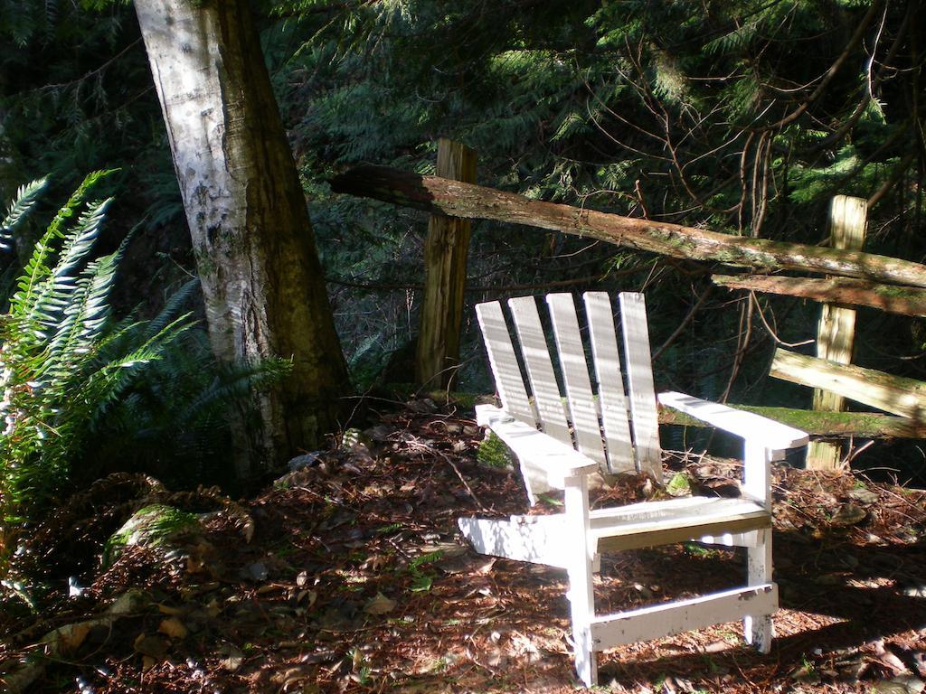 Davis Brook Retreat Bed & Breakfast Sechelt Luaran gambar