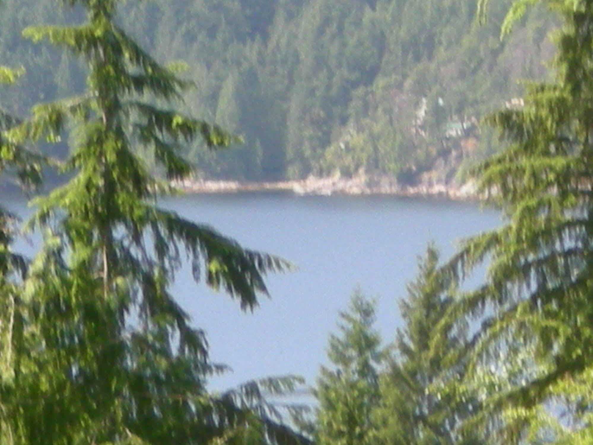Davis Brook Retreat Bed & Breakfast Sechelt Luaran gambar