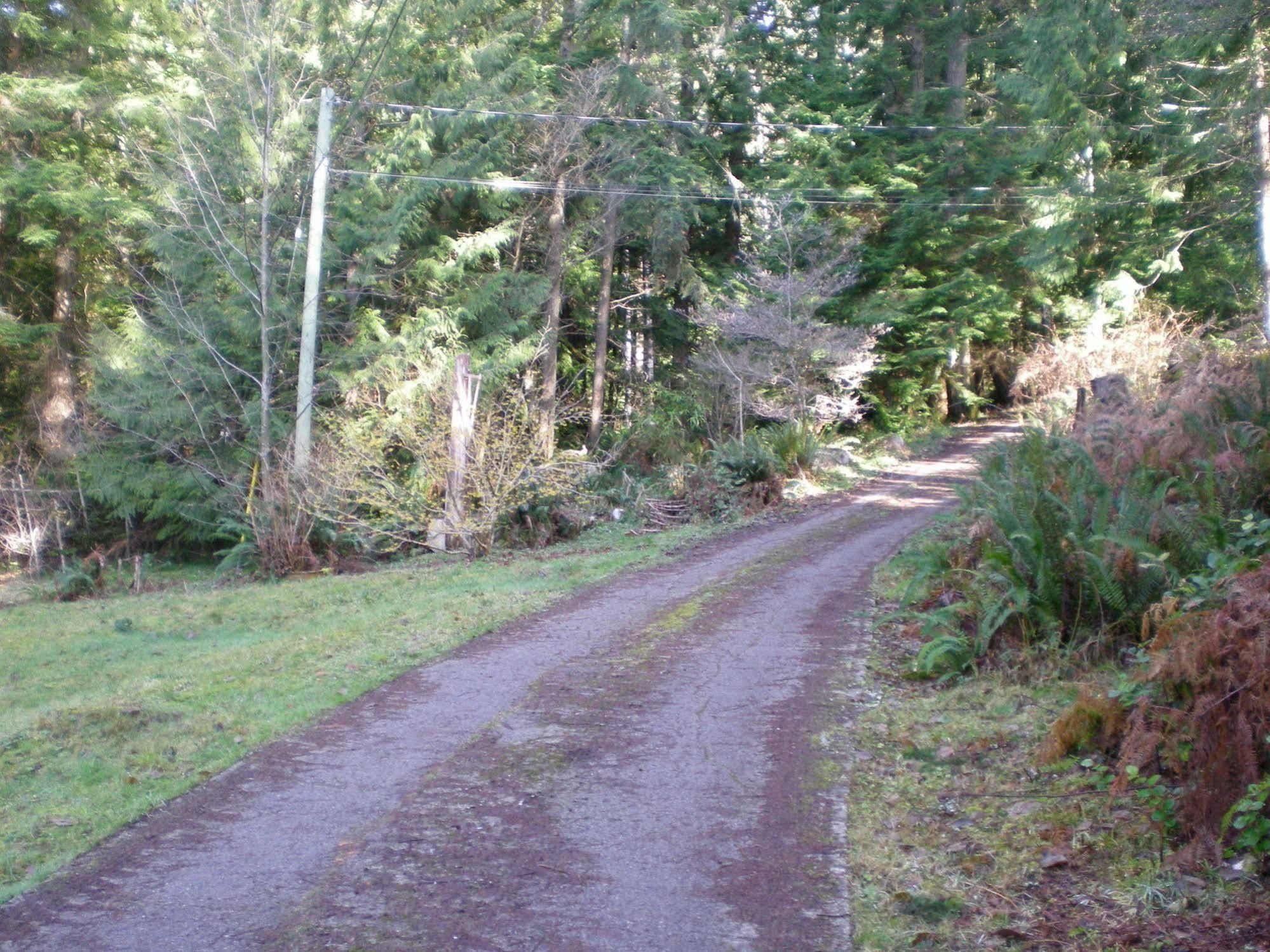 Davis Brook Retreat Bed & Breakfast Sechelt Luaran gambar